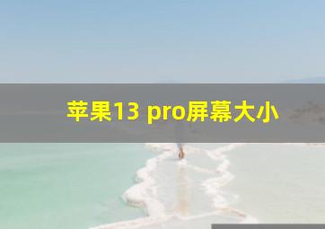 苹果13 pro屏幕大小